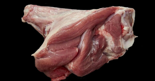 Agneau bio en colis de 5kg – Image 3